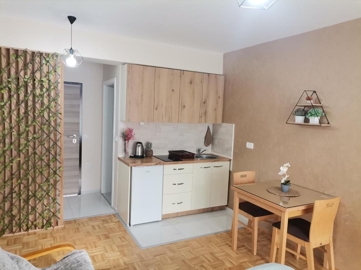 Jana Apartment Ohrid Esterno foto